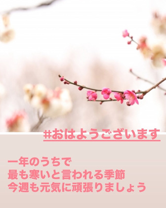 【2月のオンラインレッスン】